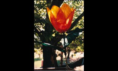 Illuminares 1990.16